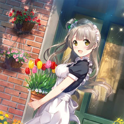 solo / 花屋のことりちゃん / April 10th, 2016
