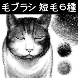 ClipStudioPaint, ComicStudio / 毛ブラシ_短毛6種 / August 17th, 2025