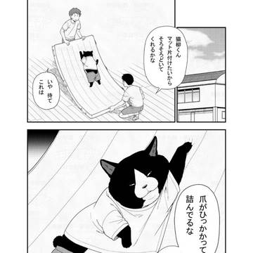 Cats are liquid, cat, original 1000+ bookmarks / 24