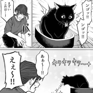 on and off, cat, everyday life / 【会社と私生活】大丈夫かな
