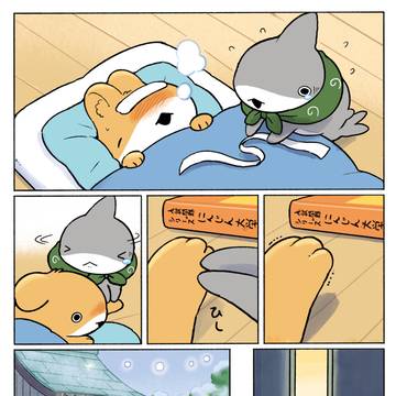 original, shark, animal / 子ザメとうさめちゃん 🤧