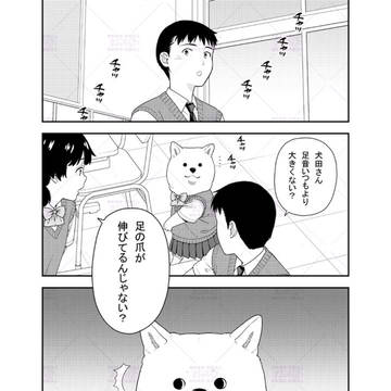 dog, original 1000+ bookmarks / 52 / July 13th, 2025