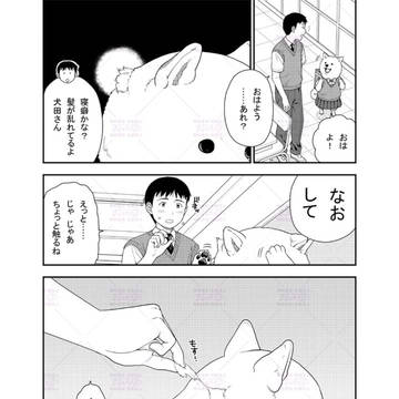 dog, original 1000+ bookmarks / 53 / July 20th, 2025