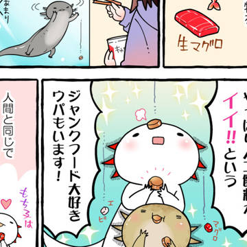 original, essay, animal / 【ウパだより】