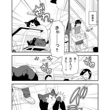 cat, original 1000+ bookmarks / 63 / October 1st, 2025