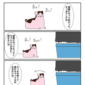 original / 【オリジナル】マシュマロねこ ちゃとらん75 / October 5th, 2025