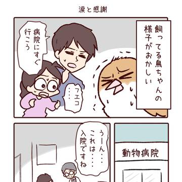 essay, everyday life, animal / 当たり前じゃない日