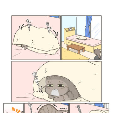 essay, diary, everyday life / 涼しくなったね!ウチのネコちゃん