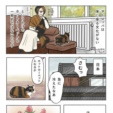 animal, a fairytale-like world, cat / マダムリリー、ホットカーペット初体験