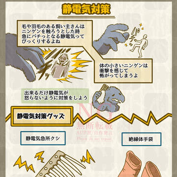 【新・ニンゲンの飼い方2】図鑑『静電気対策』⚡️ / October 20th, 2025