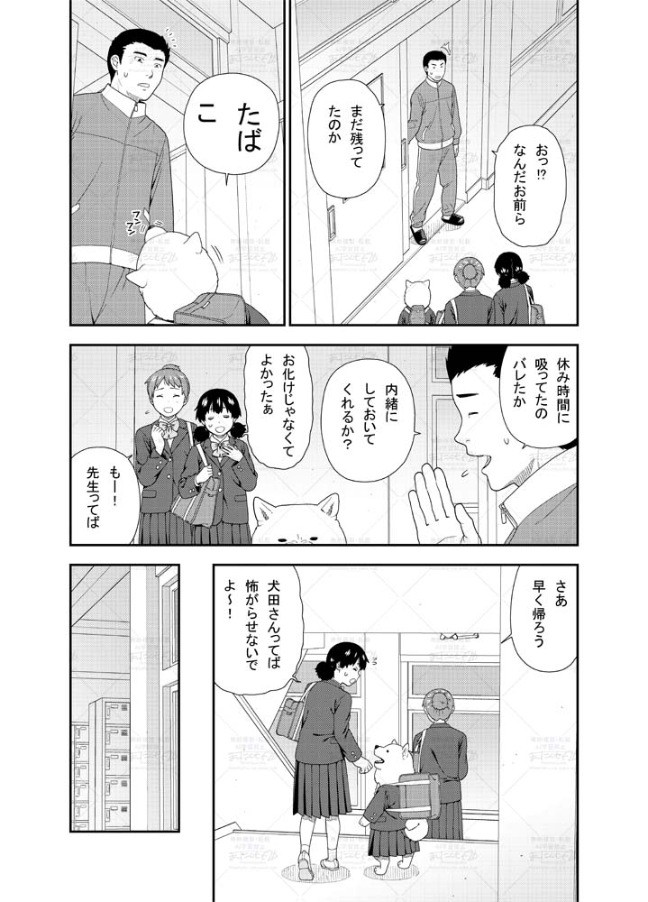 Page 3/5 Page 3/5
